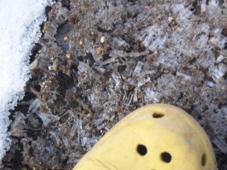 c0192418_1162569.jpg
