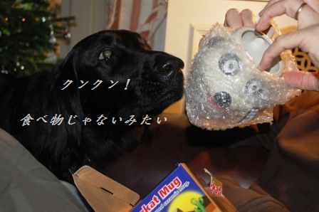 レモンで頂く☆ベーコン入りポークハンバーグ☆_d0104926_2212848.jpg