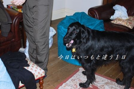 レモンで頂く☆ベーコン入りポークハンバーグ☆_d0104926_2251970.jpg