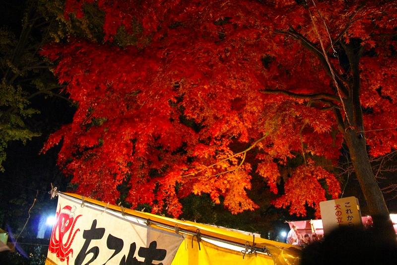 十二日まち（浦和　調神社）その2_f0229832_857577.jpg