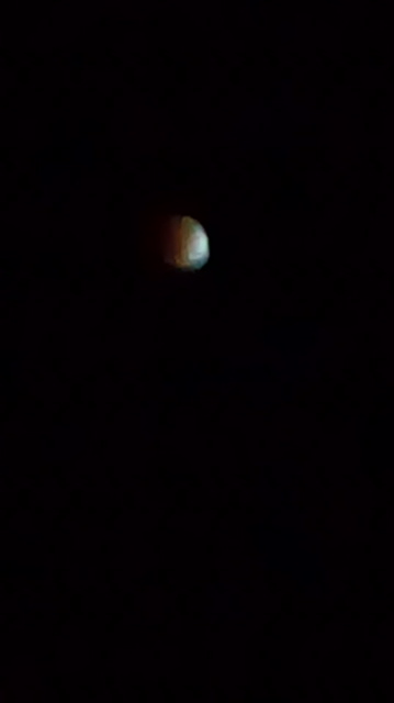 e0114246_8574875.jpg