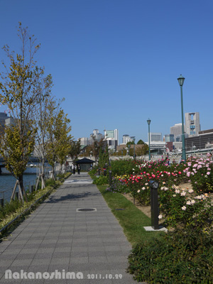 d0038547_217098.jpg