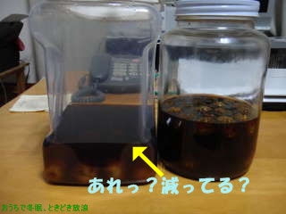 黒糖梅酒のその後 6か月経過 おうちで冬眠 ときどき放浪 黒糖梅酒のその後 6か月経過 おうちで冬眠 ときどき放浪