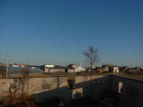 b0194267_19585420.jpg