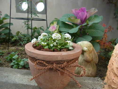 b0194267_2011569.jpg
