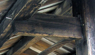 e0113570_23234.jpg