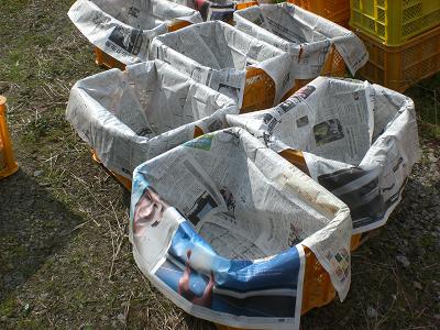 c0222471_826310.jpg