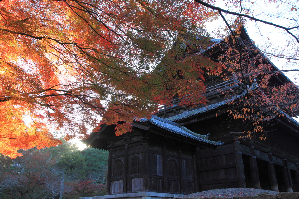 南禅寺（２）_e0096372_6364329.jpg