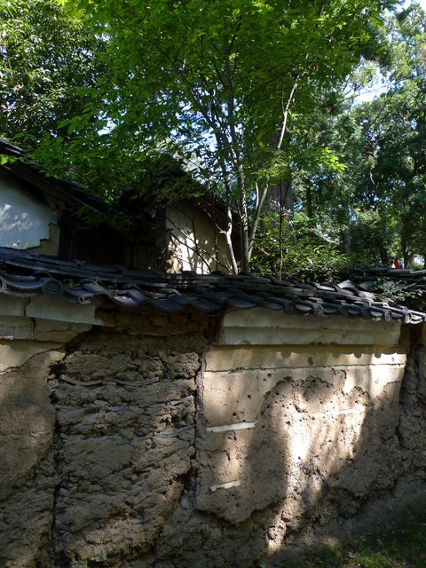 a0182281_16354100.jpg