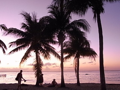 d0079988_91986.jpg