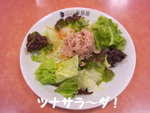 エアジョーダン11  プレーオフカラー 黒/赤_b0200291_19203087.jpg