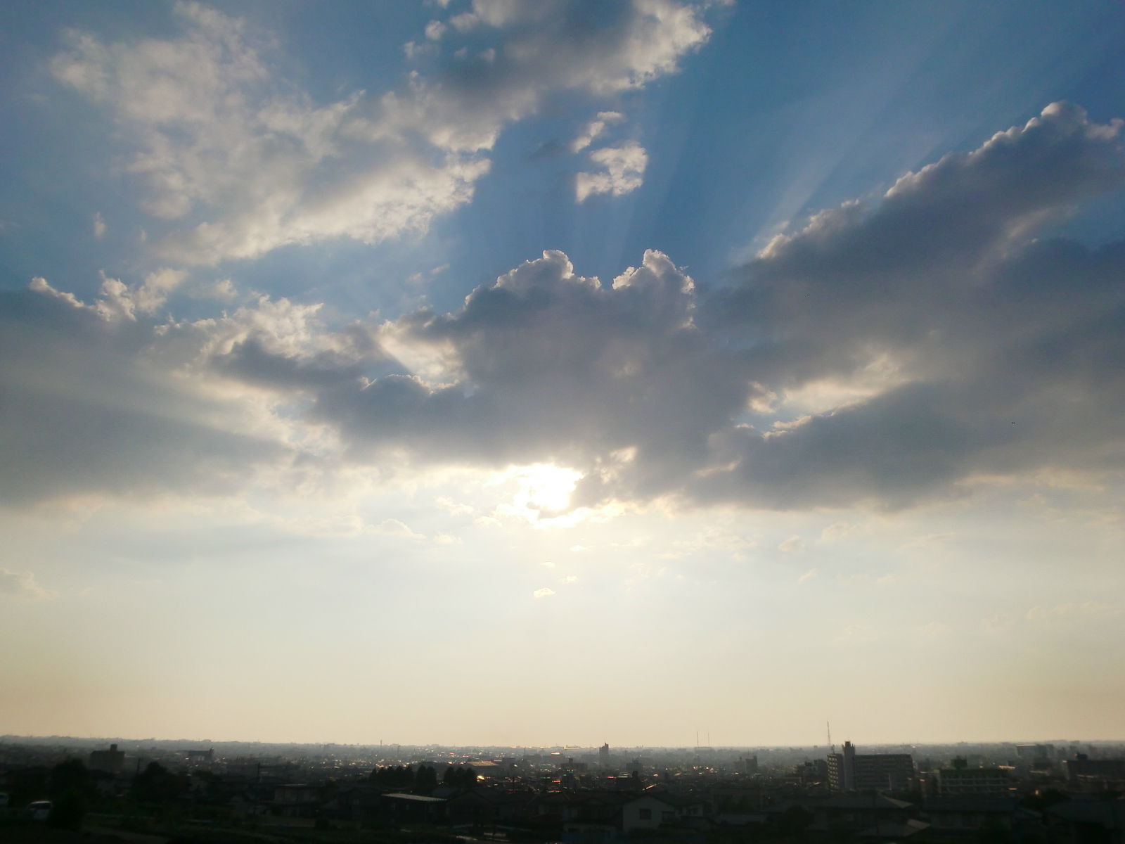 c0072801_520464.jpg