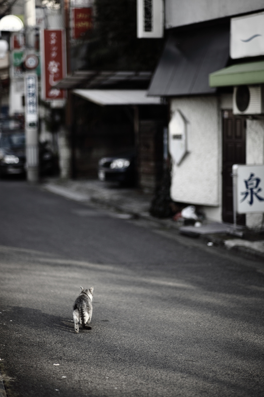 今年を振り返って(前半)_a0189203_22242338.jpg