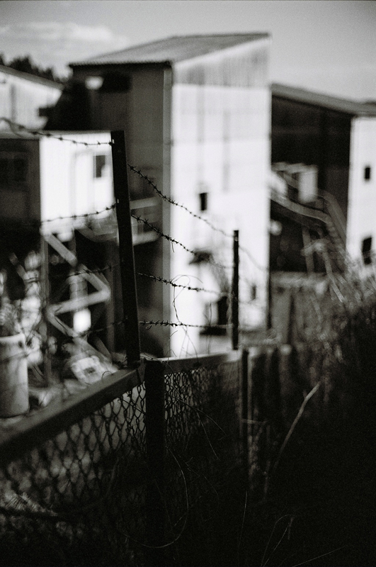 今年を振り返って(前半)_a0189203_22251367.jpg