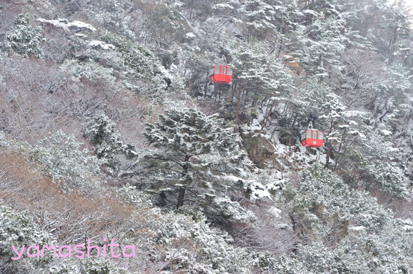 湯ノ山温泉へ雪景色を求めて（12・２７）_a0158609_13574296.jpg