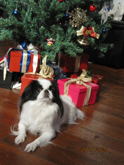 c0200916_20122567.jpg