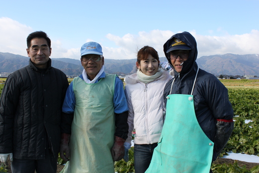NHK取材 ちこり芋収穫_d0063218_14554259.jpg