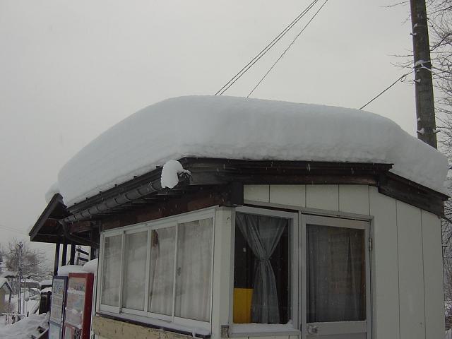 a0173819_9431047.jpg