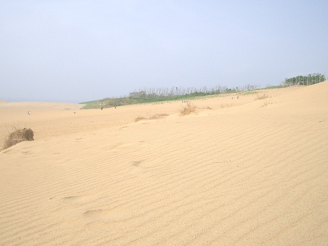 鳥取砂丘（鳥取県鳥取市）_c0219820_23581410.jpg