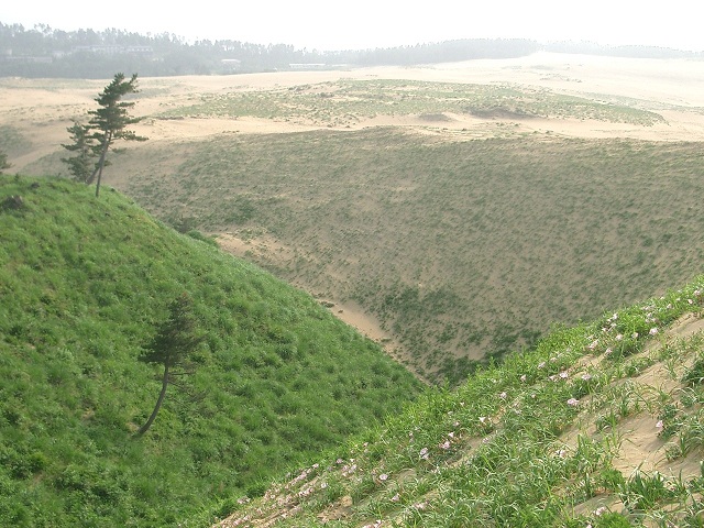 c0219820_23582158.jpg