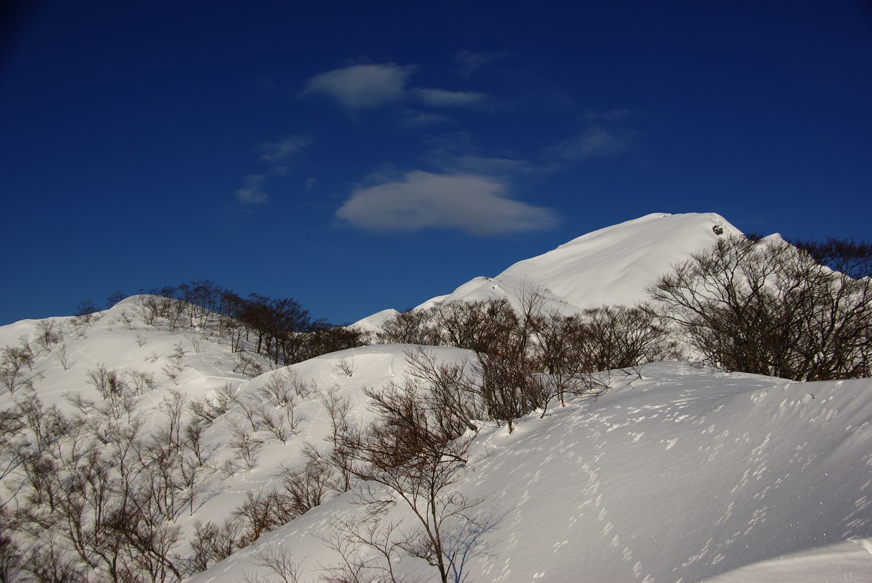 谷川岳・肩の広場～西黒沢へ_b0062024_21545086.jpg