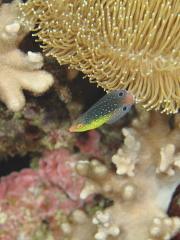 b0100730_21145283.jpg