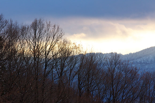 c0067040_23413225.jpg