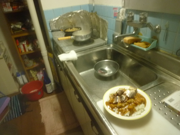 サンマカレー_b0217741_2250911.jpg