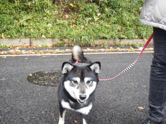 e0241952_12143030.jpg