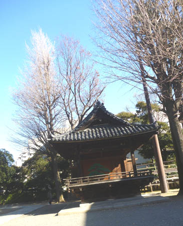 a0053063_0383650.jpg