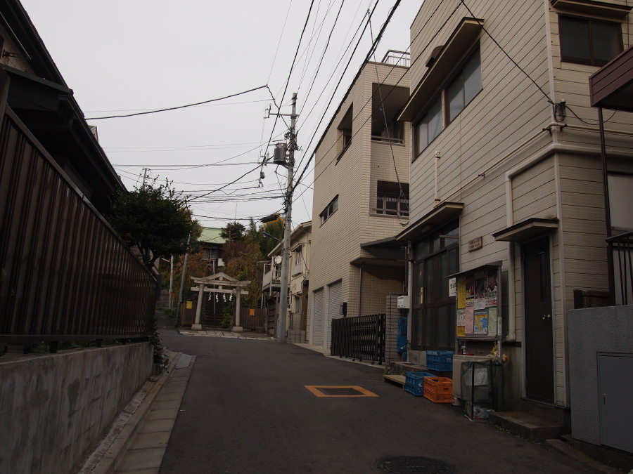 e0163471_188327.jpg