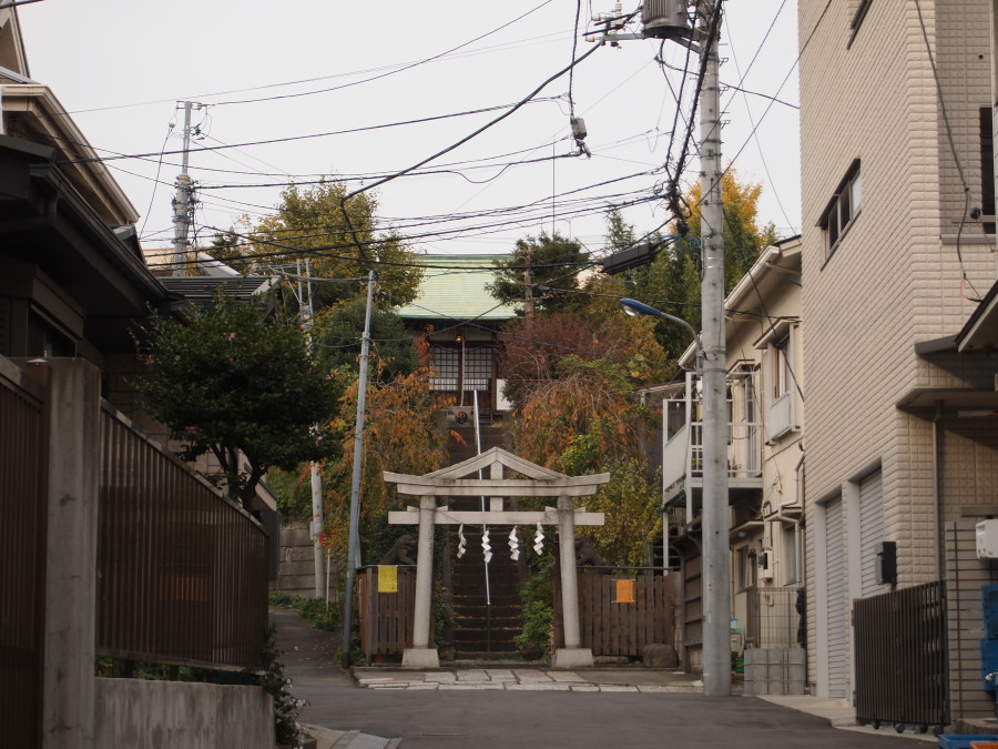 e0163471_1885894.jpg