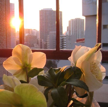 a0160373_7301599.jpg