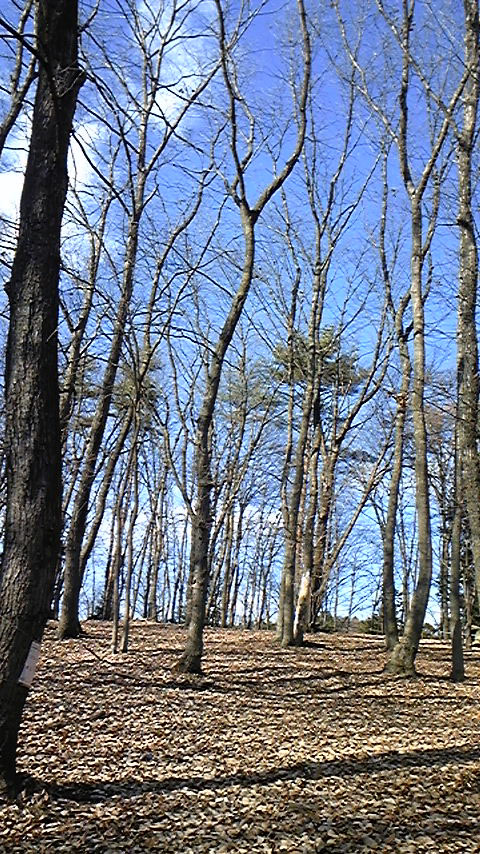 e0118274_20312997.jpg