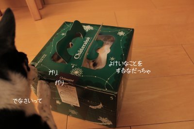 遅ればせながら_c0201883_9473547.jpg