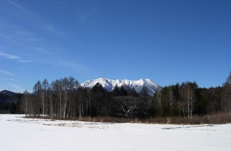 a0130586_11573150.jpg