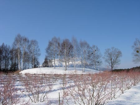 a0130586_22274287.jpg