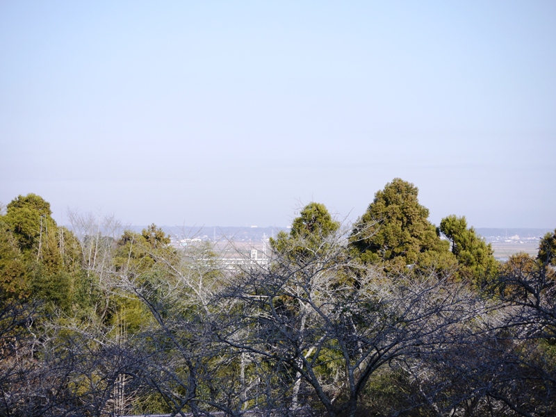 a0127090_2114322.jpg