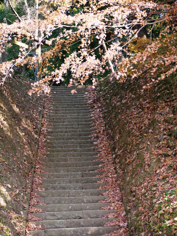 a0127090_2181731.jpg