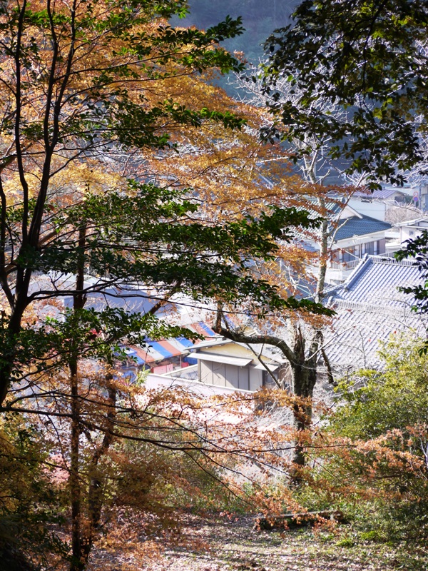 a0127090_2185877.jpg