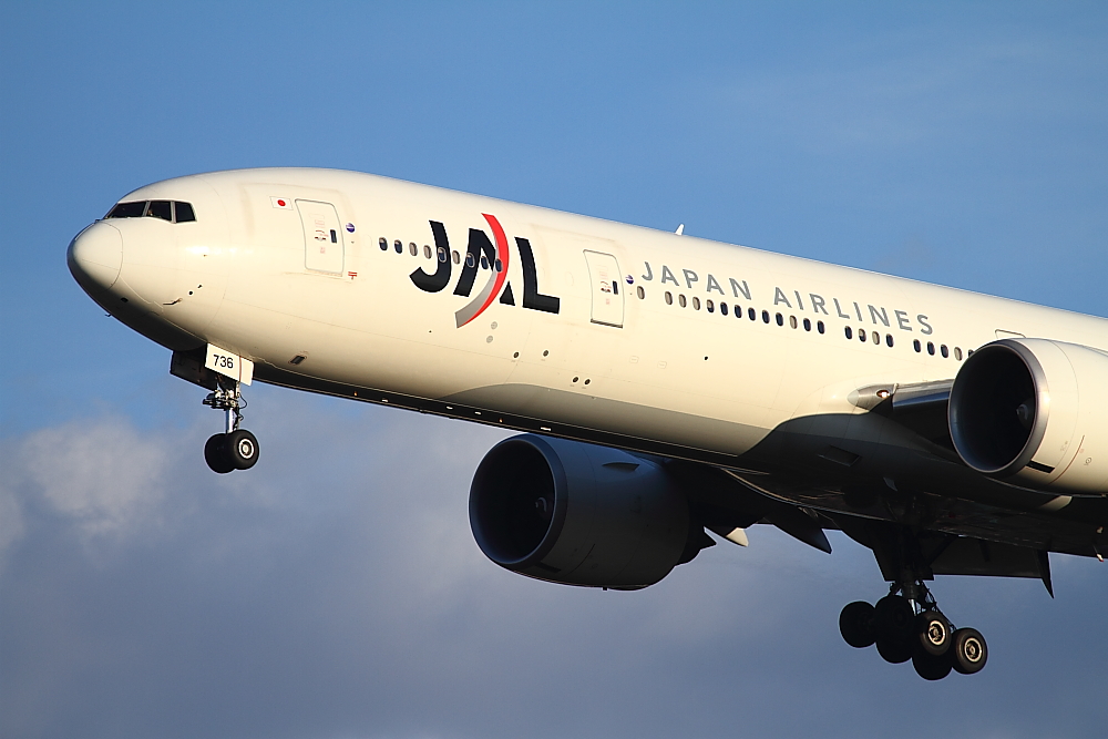 2011冬成田遠征　その10　JALのB777-300ER_e0204891_211446.jpg