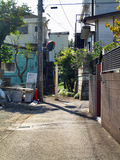 c0163001_9215852.jpg