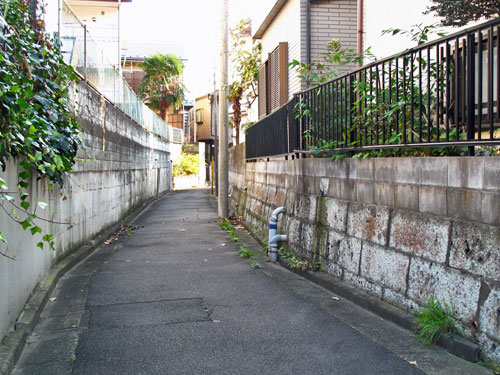c0163001_922396.jpg