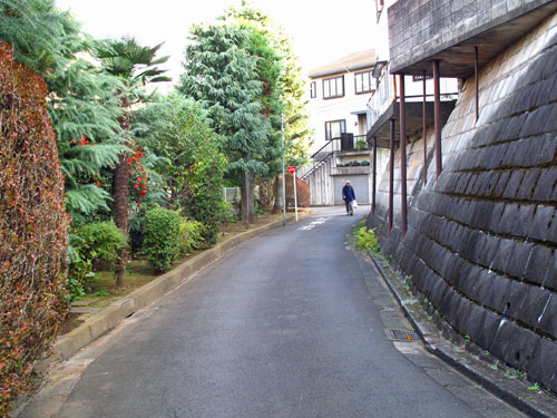 c0163001_925148.jpg