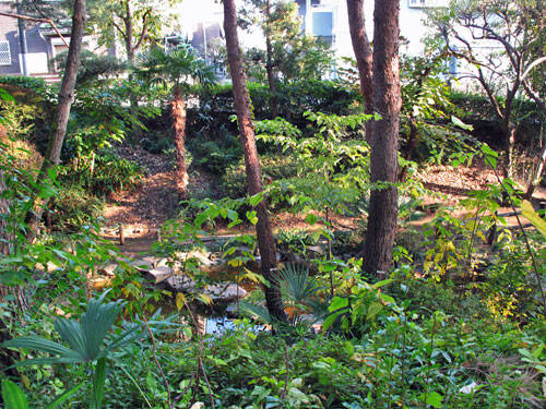c0163001_925579.jpg