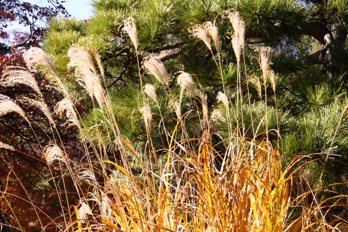 d0248502_22372653.jpg