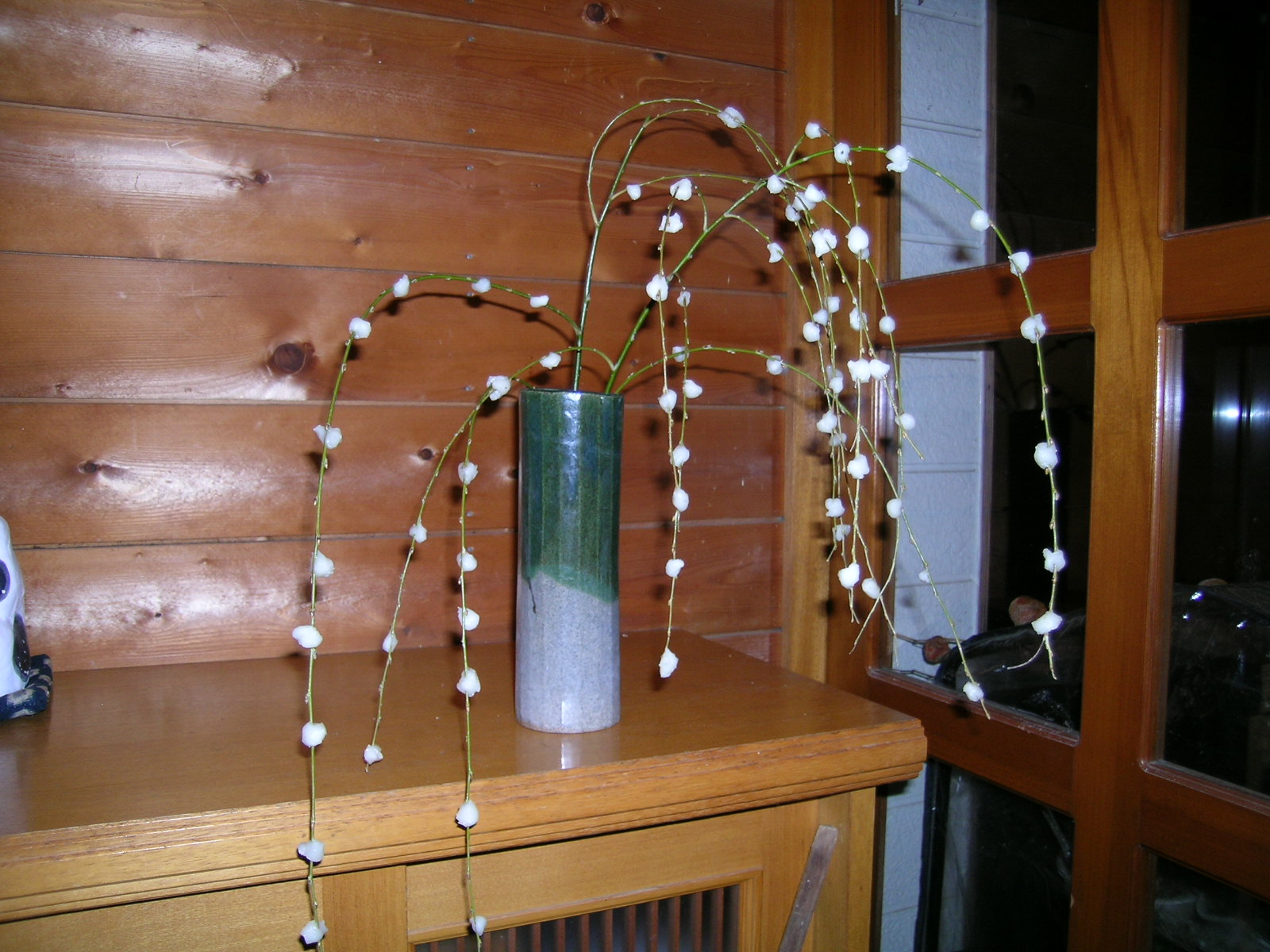 a0203003_2157119.jpg