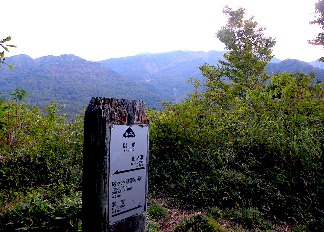 c0078410_16371034.jpg