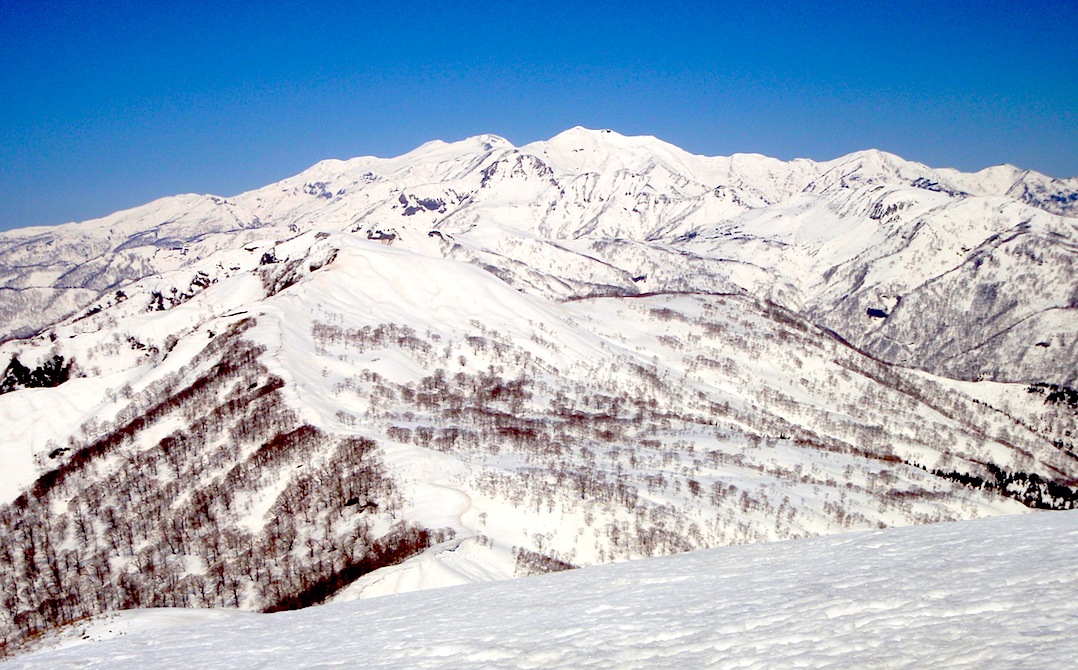 c0078410_7302225.jpg