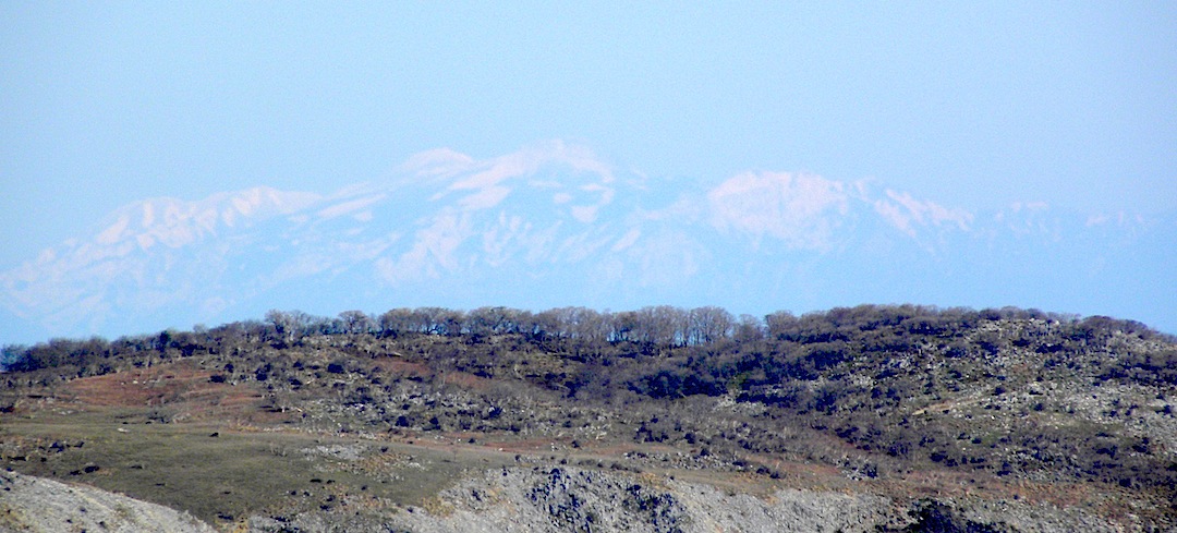c0078410_7393445.jpg
